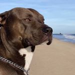 Profile Picture of Chris Truitt (@chris.truitt.161) on Instagram