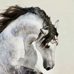 Profile Picture of yt:jenny und kim schlegelmark (@mondancelover) on Instagram