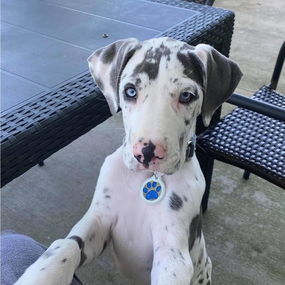 Profile Picture of Addie Thomas (@alfttt) on Poshmark