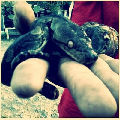 Virgo Bin Marcus - Twitter Profile Picture of Virgo Bin Marcus (@virgogerdon) on Twitter