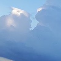 Profile Picture of Alana Makowski (@alana-makowski) on Quora