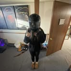 Profile Picture of Brianna Wallen (@brianna.wallen.3) on Facebook