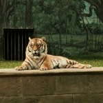 Profile Picture of 1 follower (@temiux65) on Instagram