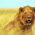 Profile Picture of Ahmed Johnson (@ahmedjohnson2871) on Instagram