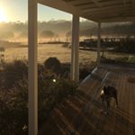 Profile Picture of Tony Osborne (@tonysosborne) on Instagram