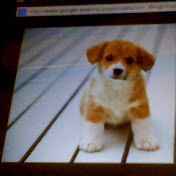 Profile Picture of Carly Wilmot (@carlywilmot8838) on Youtube