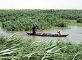 Profile Picture of Marsh Arabs - Wikipediaon Wikipedia