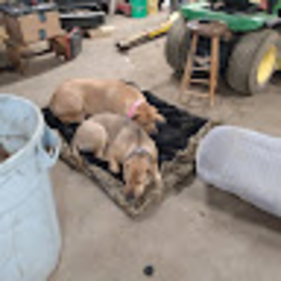 Profile Picture of Adam Vanderwegen (@avanderwegen26) on Poshmark