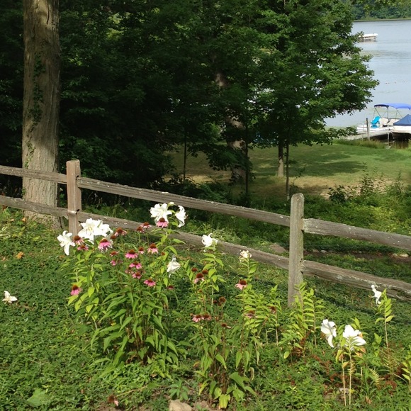 Profile Picture of Susan Feiten (@susiefeit) on Poshmark