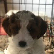 Profile Picture of Milo Seastrand (@Miloseastrand55) on Youtube