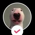 Profile Picture of Matt Maxwell (@siemax02) on Tiktok