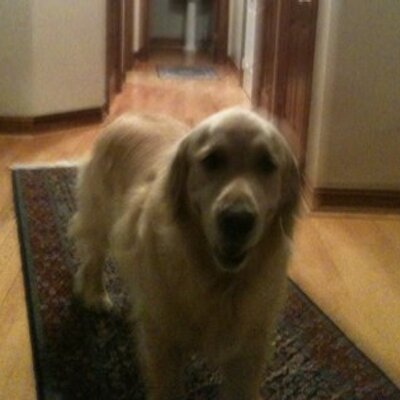 Profile Picture of Michael Ratterman (@mratterman) on Twitter