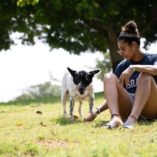 Profile Picture of Tal Lev (Tal Lev) (@tal.lev.7) on Facebook