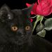 Profile Picture of Andrea Fleischmann (@andrea.fleischmann.395) on Facebook