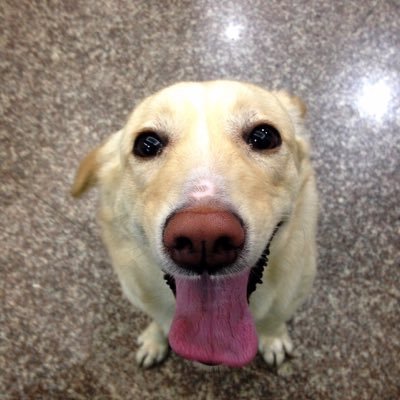 Profile Picture of Chang Hua,Yeh (@changhua9) on Twitter