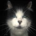 Profile Picture of Jed Thorburn (@Jed-Thorburn) on Facebook
