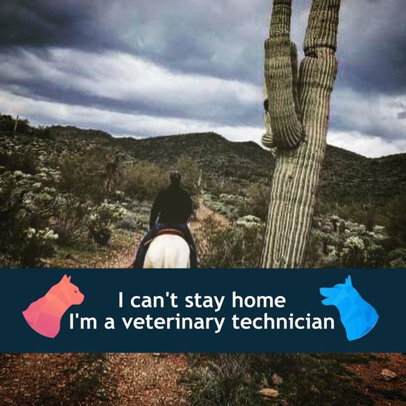 Profile Picture of Katrina Krogman (@katrinakrogman) on Poshmark