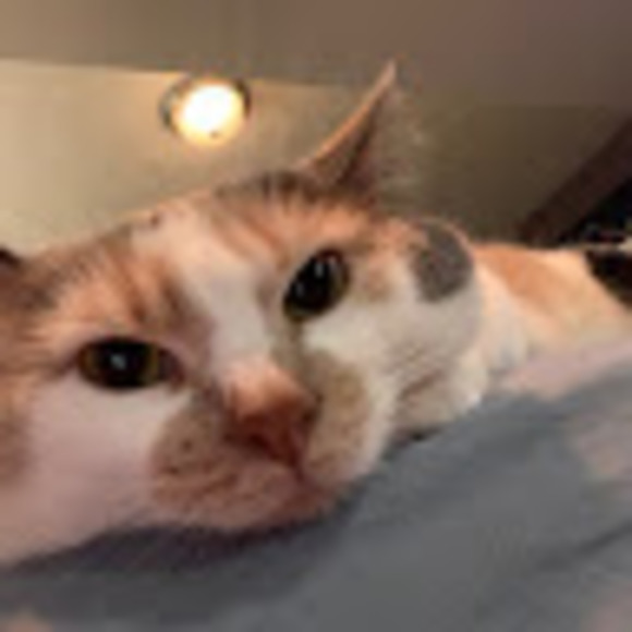 Profile Picture of Adrian Nelson (@adriannelson111) on Poshmark