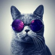 Profile Picture of Mario Banegas (@MarioBanegas11) on Twitter