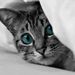 Profile Picture of Silvia Melušová (@Sisi278) on Pinterest