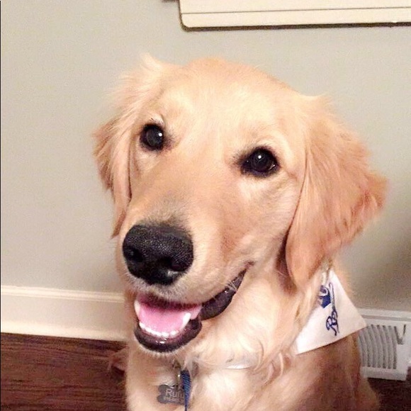 Profile Picture of Daniel Roling (@rollin2110) on Poshmark