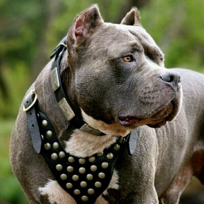 Profile Picture of Zachary Flores (@zacharyflores86) on Twitter