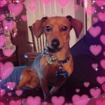 Profile Picture of Lori Jacobs Yancey (@lori_jacobs_yancey) on Instagram