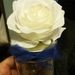 Profile Picture of Barbara Spidle (@28spidle) on Pinterest