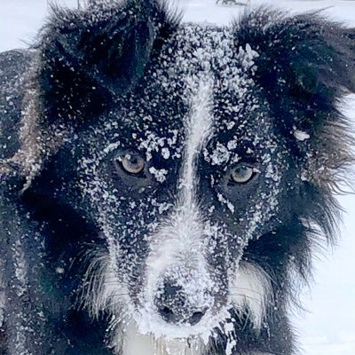 Profile Picture of Charles Pender (@charlespendercb) on Twitter