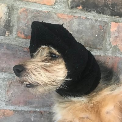 Profile Picture of David ΜΟΛΩΝ ΛΑΒΕ (@MolonLa23130414) on Twitter