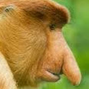 Profile Picture of Matthew Hummel (@matthewhummel3462) on Youtube