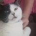 Profile Picture of Lori Pritchard (Lori Pritchard Forster) (@lori.pritchard.90) on Facebook