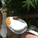 Profile Picture of Devin Dwyer (@wejusttrytobeepositive) on Instagram