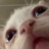 Profile Picture of Jason Zepeda (@@jasonz112) on Tiktok