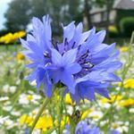 Profile Picture of David Austin (@dja5859) on Instagram