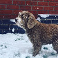 Profile Picture of Louisa Roberts (@louisa-roberts-14) on Quora