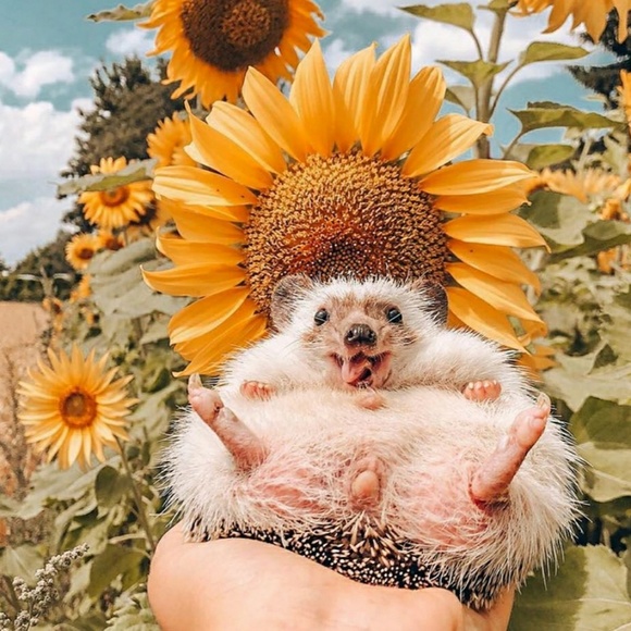 Colette Coletta - Poshmark Profile Picture of Colette Coletta (@colettecoletta) on Poshmark