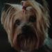 Profile Picture of Pamela Lansing (@megmichie) on Pinterest