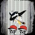 Profile Picture of David Galos (@davidgalos) on Instagram