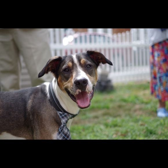 Brienna Caparco - Poshmark Profile Picture of Brienna Caparco (@breezyflavor) on Poshmark