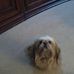 Profile Picture of Colleen Cooley (@Colleen-Cooley) on Facebook
