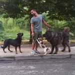 Profile Picture of Michele Menghi (@michelino77) on Instagram