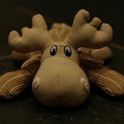 Profile Picture of Kevin Wheatley (@PossiblyKevin) on Twitter