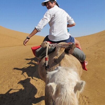 Profile Picture of Christopher Cho (@christophervcao) on Twitter