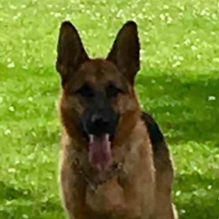 Profile Picture of Scott Wittmann (@shadowdancer11) on Facebook