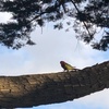 Profile Picture of Alice Phillips (@@alicephillips57) on Tiktok