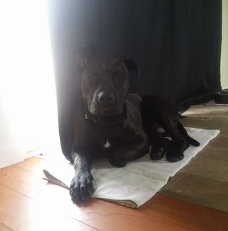 Profile Picture of Daniel Schatzberg (@daniel.schatzberg.7) on Facebook