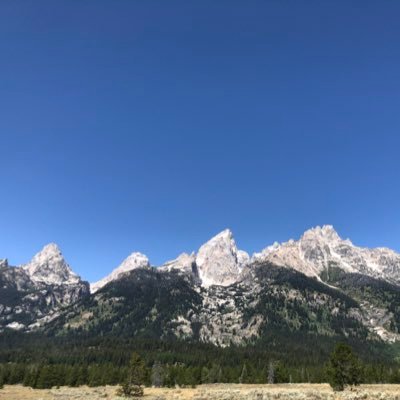 Profile Picture of Max Hopper (@MaxHopper7) on Twitter