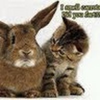 Profile Picture of Sylvia Rodrigues (@sylvia-rodrigues-12) on Quora