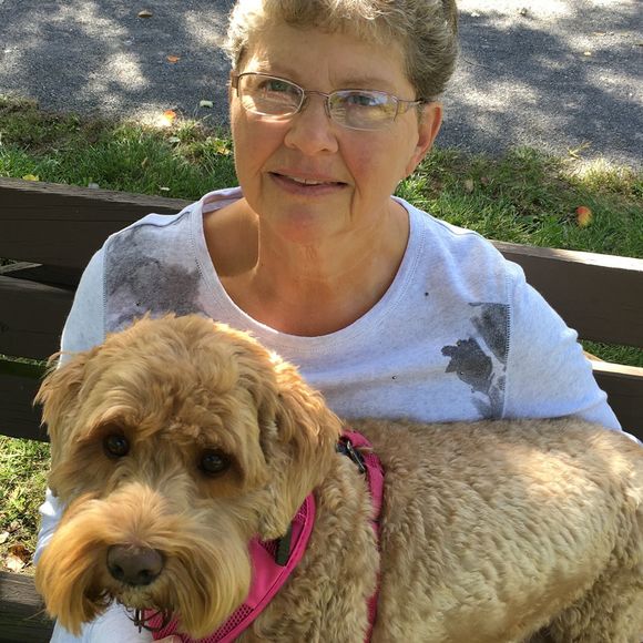 Connie Bendle - Poshmark Profile Picture of Connie Bendle (@shop78cb) on Poshmark